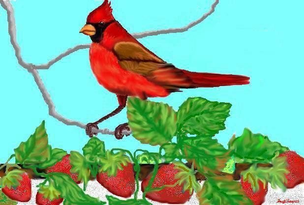 Cardinal: Computer painting