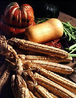 Corn, Beans & Squash from US Government site.