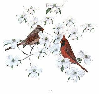 Cardinals and Dogwood 
Prints or Original Paintings by Webb Garrison - Song Birds
