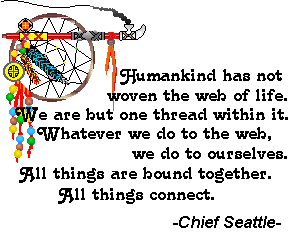 Quote from Chief Seattle